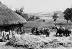 74. szi rpa nyomtatsa ngy lval, Patca (Somogy vm.) – Gnyey [bner] Sndor felv. 1932. Nprajzi Mzeum, Budapest F 66522