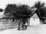 81. Magyar parasztgyerekek, svny (Gyr megye). Timk Imre felvtele, 1904 (Nprajzi Mzeum, Budapest)