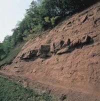 Permi vrshomokk a Balaton-felvidken