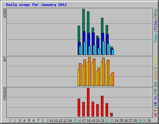 Daily usage for January 2011