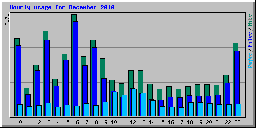 Hourly usage for December 2010